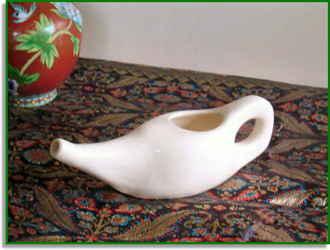 Neti Pot for Sinus